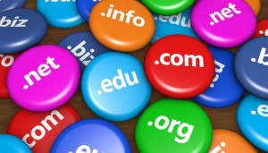 Domain Registration